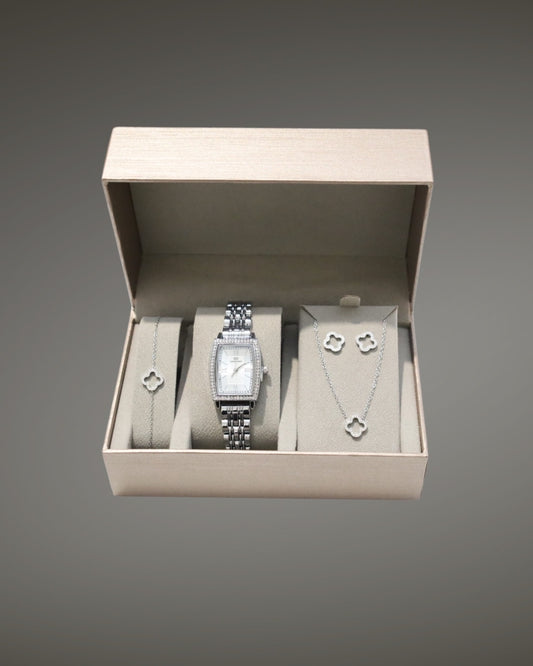 Coffret Ivanna argent